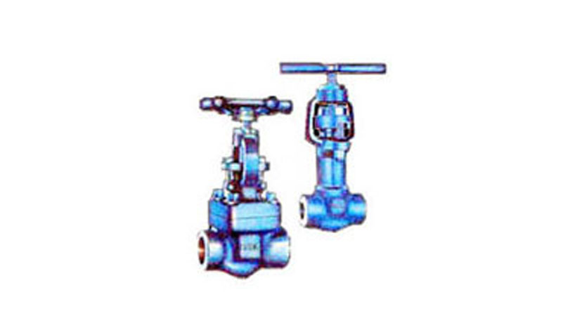 Hand Operated Forged Carbon Steel Valves