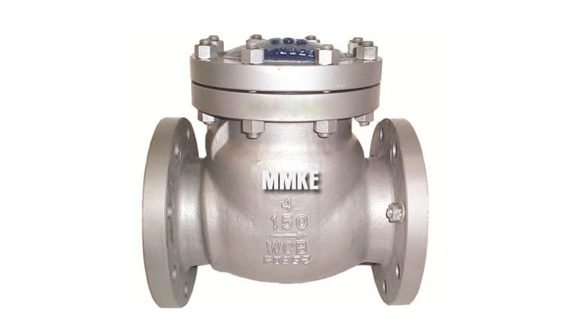 Check Valves Class 300