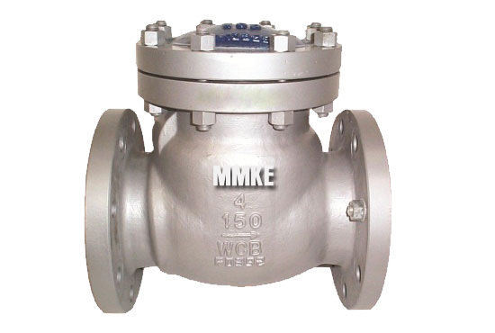 Industrial Check Valves