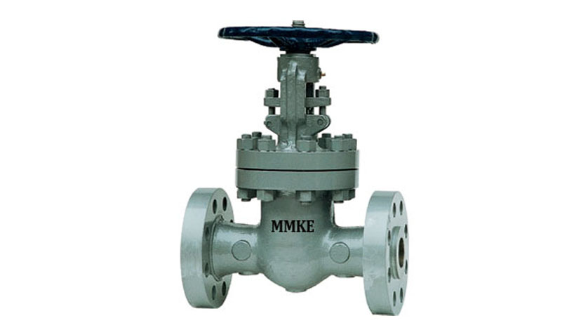 Globe Valves Class 900/1500/2500