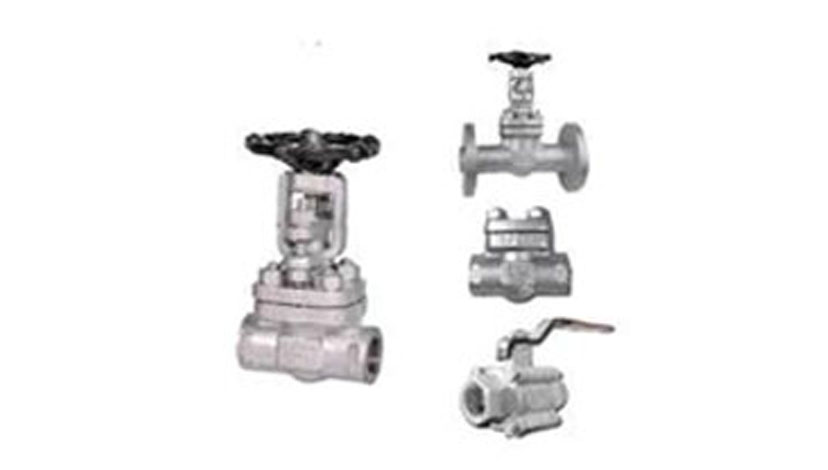 Forged Steel Valves