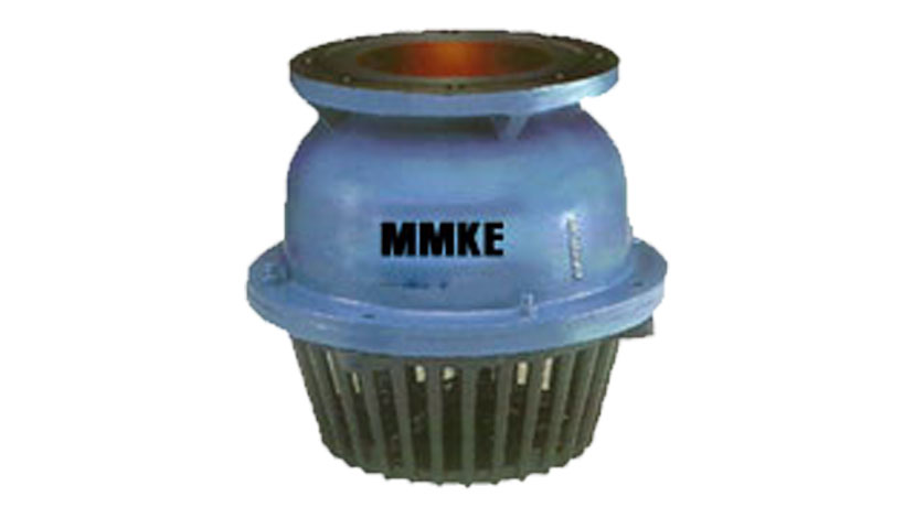 Cast Iron Foot Valve