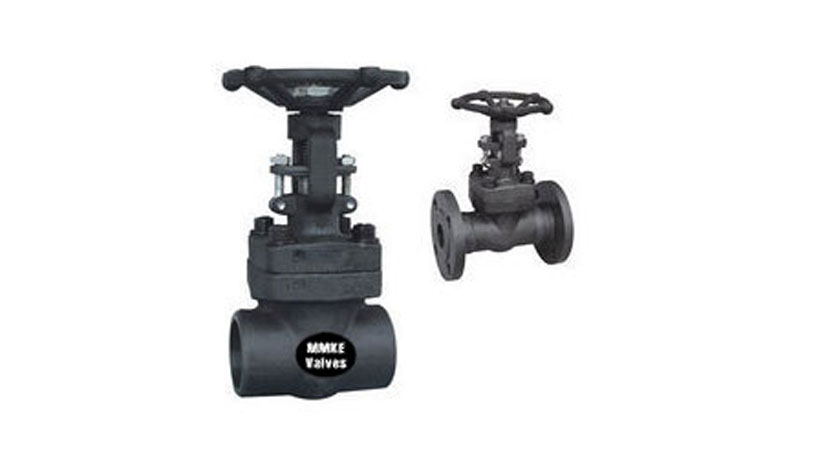 Forged Steel Gate Valves