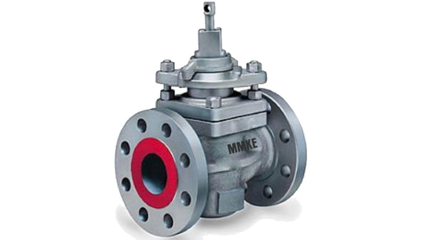 Plug Valve